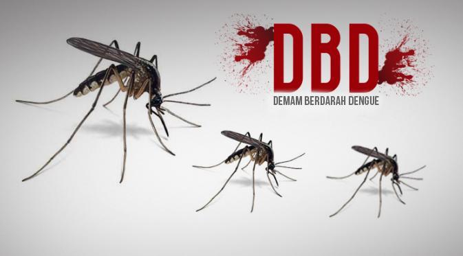 Penanganan Demam Berdarah Dengue Pada Anak